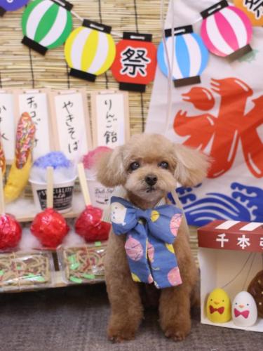 20240725マロンくん